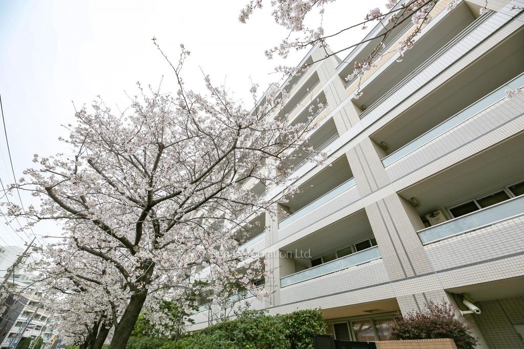 The 目黒桜レジデンスの写真 外観ひき