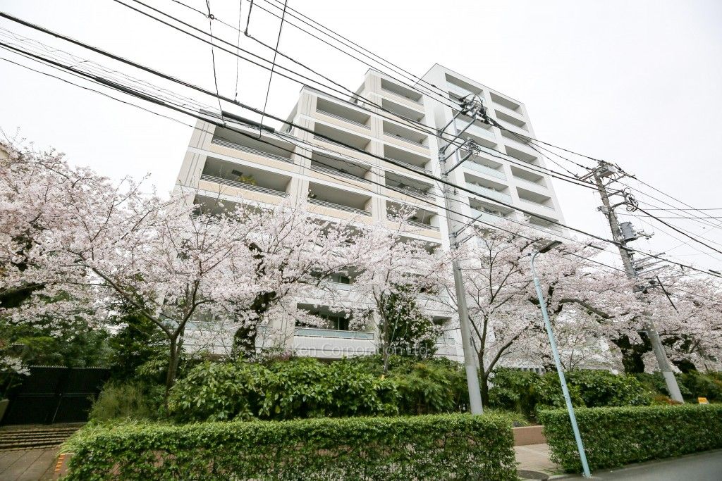 The 目黒桜レジデンスの写真 外観ひき