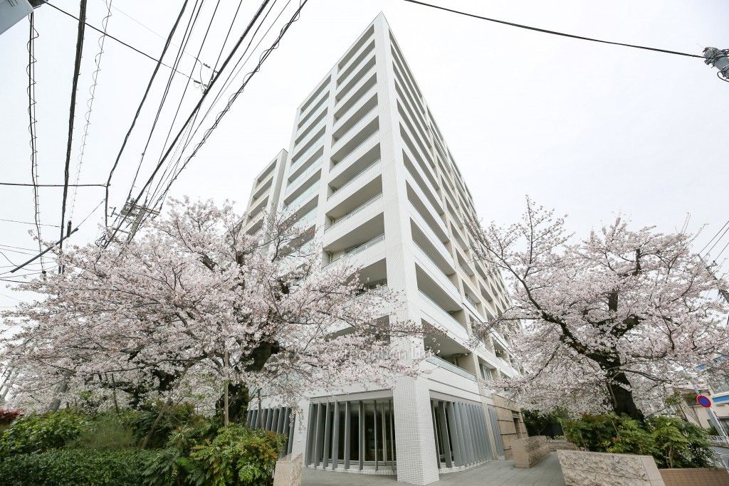 The 目黒桜レジデンスの写真 外観ひき