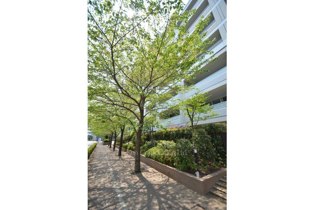 The 目黒桜レジデンスの写真 桜