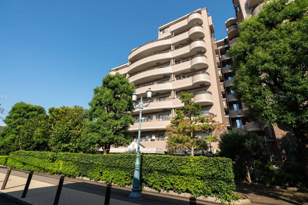 朝日マンション駒場の写真 外観ひき