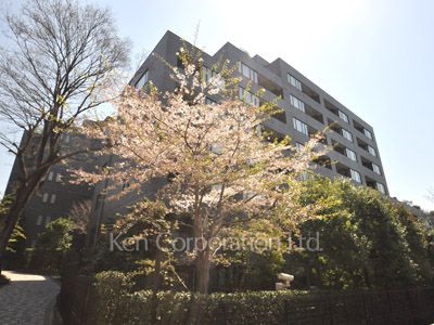 南青山テラス 常盤松フォレストの写真 外観ひき