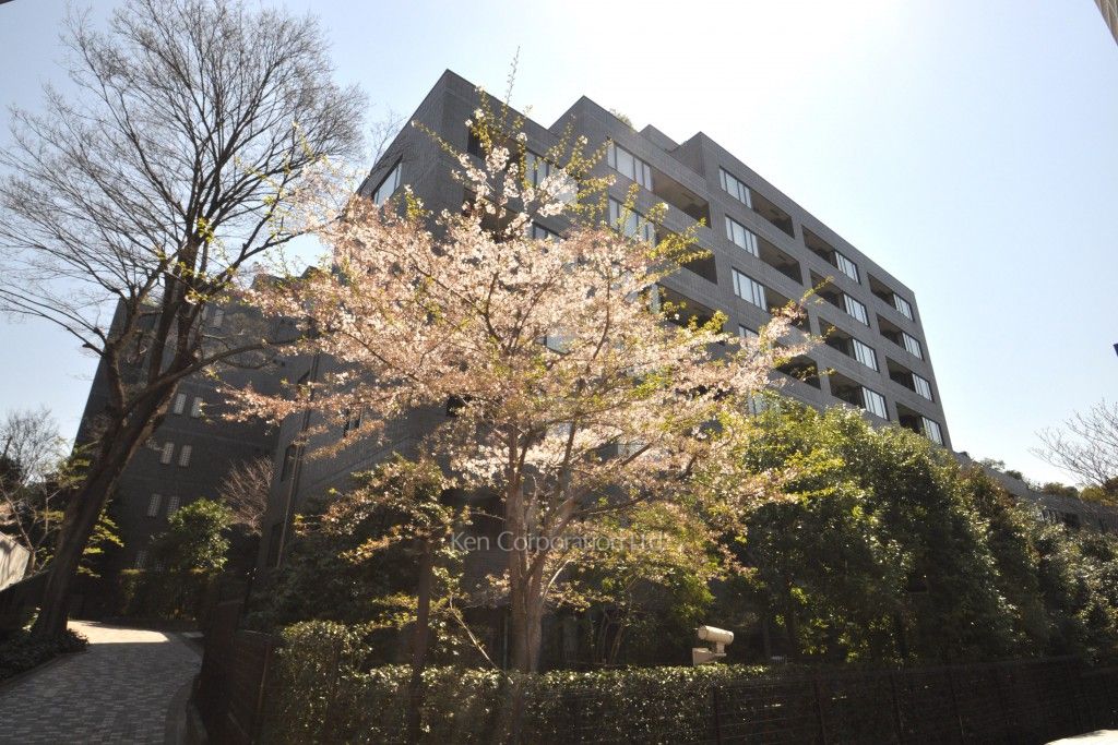 南青山テラス 常盤松フォレストの写真 外観ひき