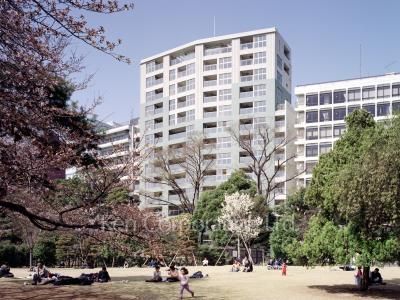 ヒルズ新宿御苑の写真 外観ひき