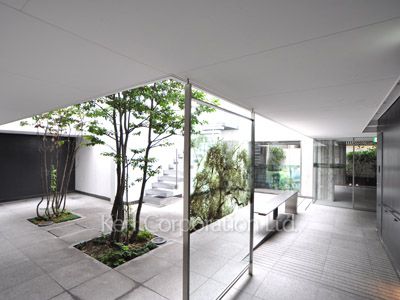 エルスタンザ代々木の写真 中庭・植栽
