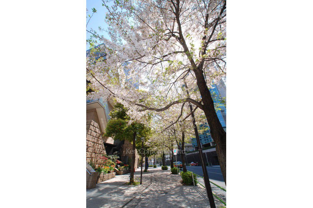 クレジデンス神谷町の写真 前面道路