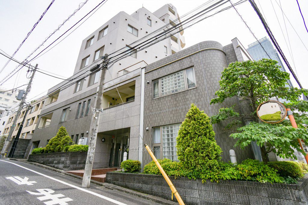 ユニロイヤル赤坂の写真 外観ひき