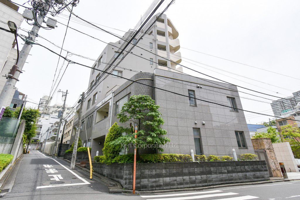 ユニロイヤル赤坂の写真 外観ひき