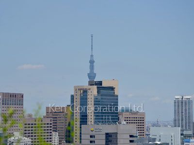 シティタワー九段下の写真 屋上庭園からの眺望