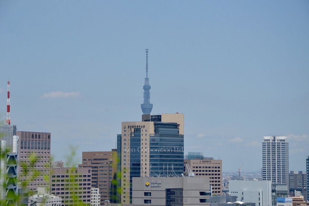 シティタワー九段下の写真 屋上庭園からの眺望