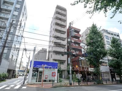 ダイナシティ目白の写真 外観ひき