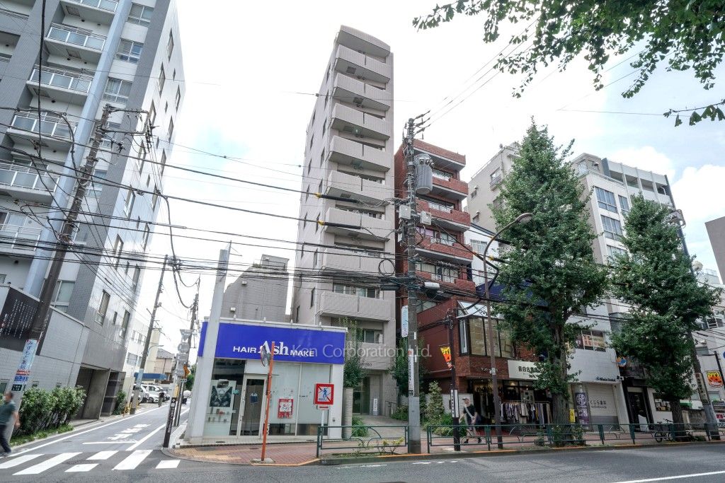 ダイナシティ目白の写真 外観ひき