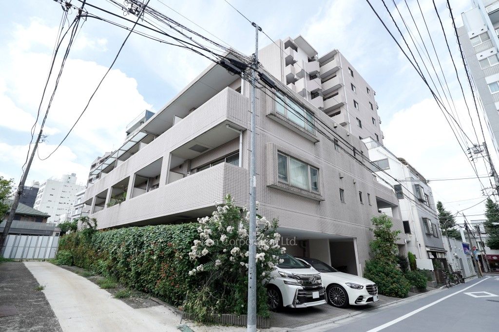 ダイナシティ目白の写真 外観ひき
