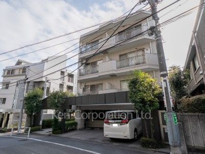 ジョイヒルズ南平台の写真 外観ひき