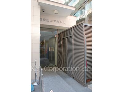 南青山コアパレスの写真 外観より