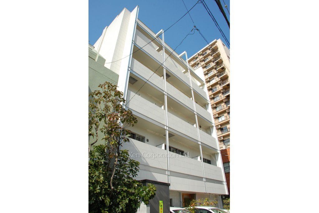 南青山コアパレスの写真 外観ひき
