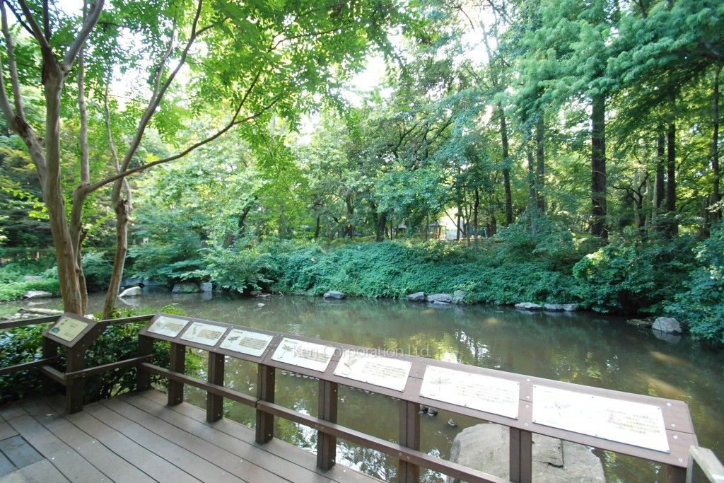 月光町アパートメントの写真 林試の森公園