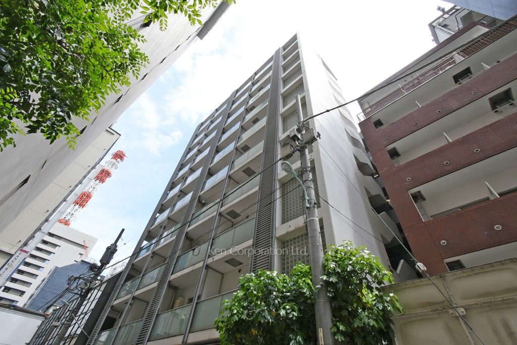 クオリア銀座やま祢ビルの写真 外観ひき