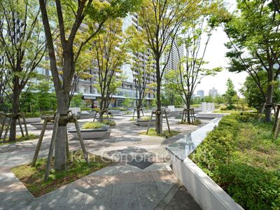  中庭・植栽