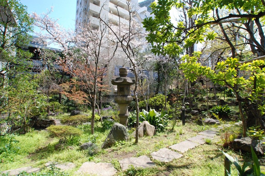  中庭・植栽