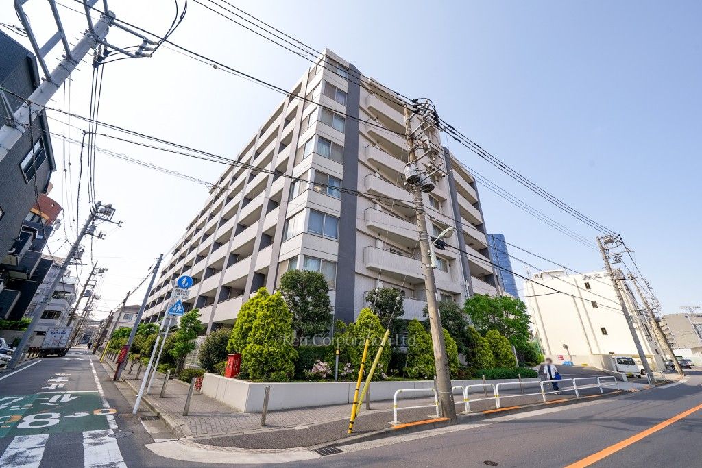  外観ひき