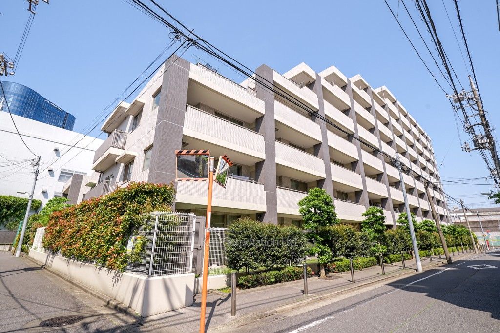  外観ひき