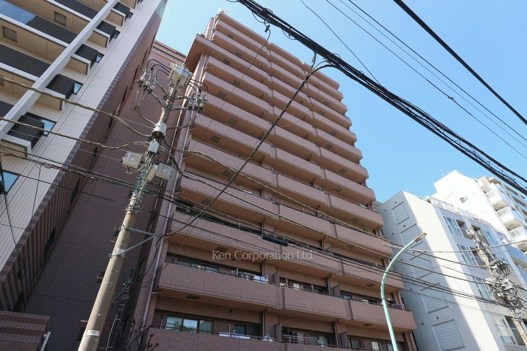  外観ひき
