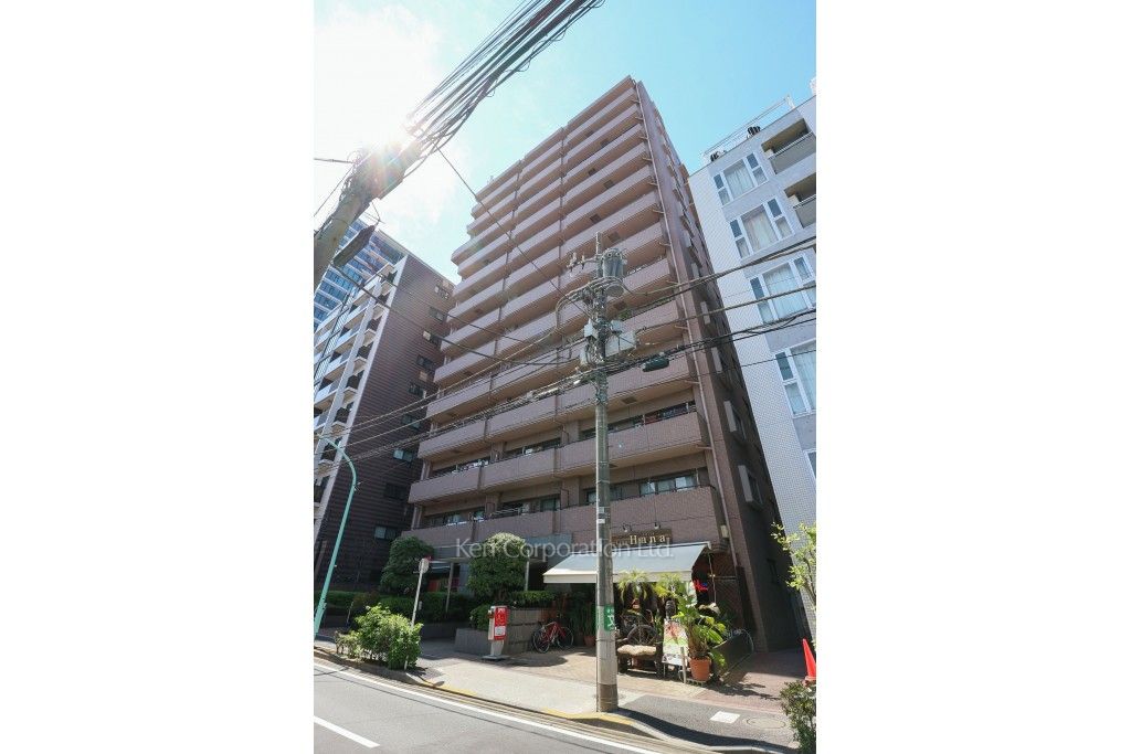  外観ひき