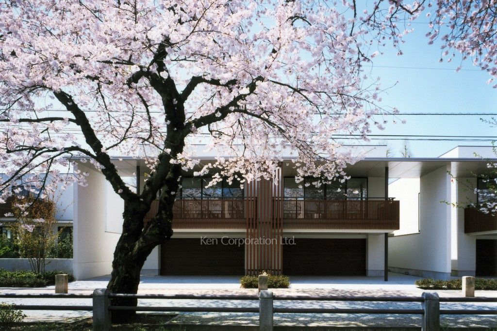 深沢連棟の写真  外観ひき