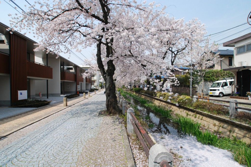 深沢連棟の写真  外観ひき