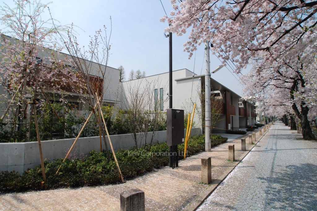 深沢連棟の写真  外観ひき