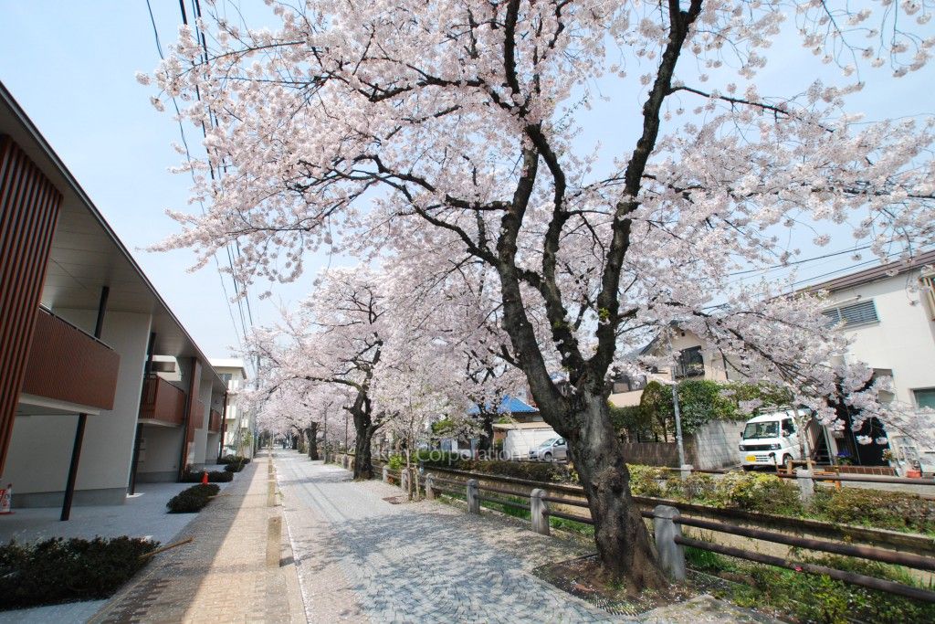 深沢連棟の写真  外観ひき