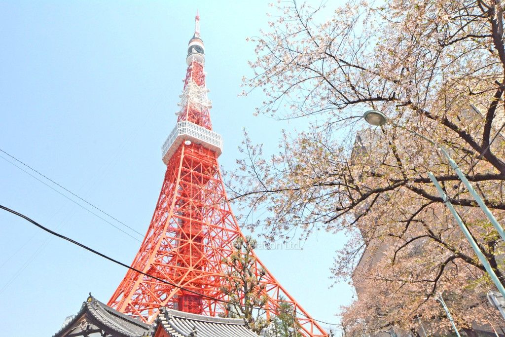  東京タワー  ※写真の無断転載禁止