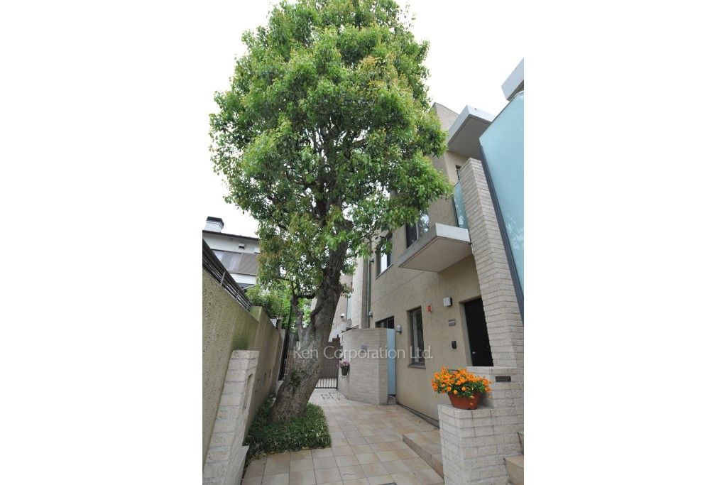 MANOR HOUSE 東山の写真 中庭