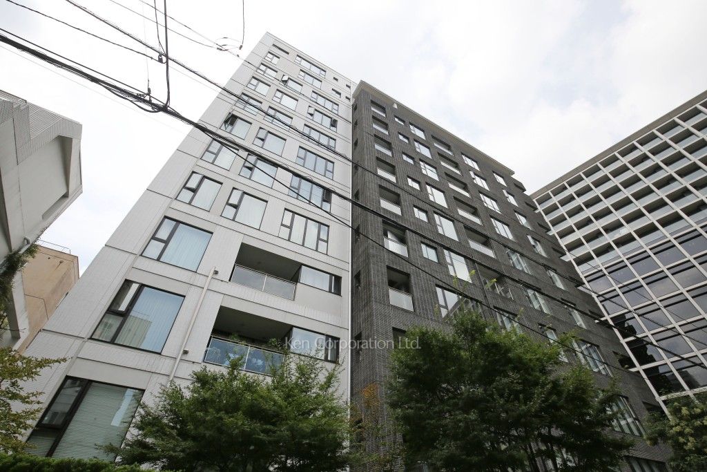 フォレセーヌ赤坂氷川町の写真 外観ひき