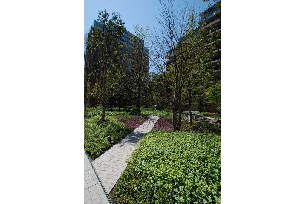 広尾ガーデンフォレストの写真  中庭・植栽