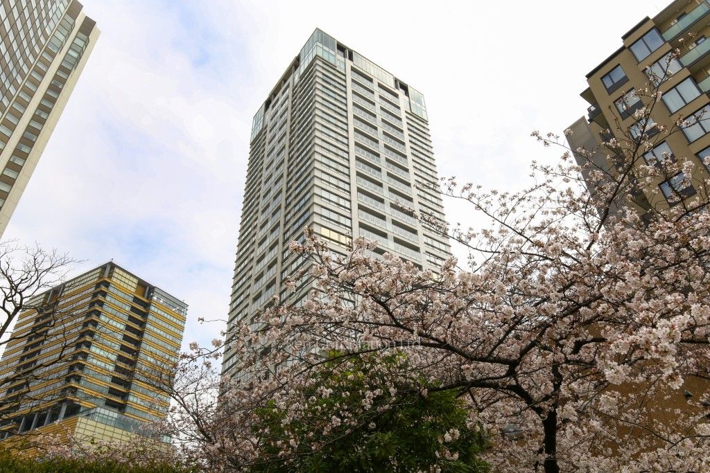 SAION SAKURAZAKAの写真 外観ひき