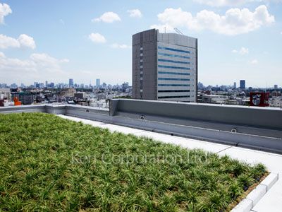 パークキューブ笹塚の写真 屋上、屋上テラス