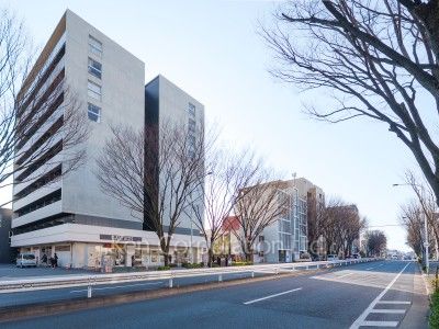 グランドゥール代々木大山の写真 前面道路