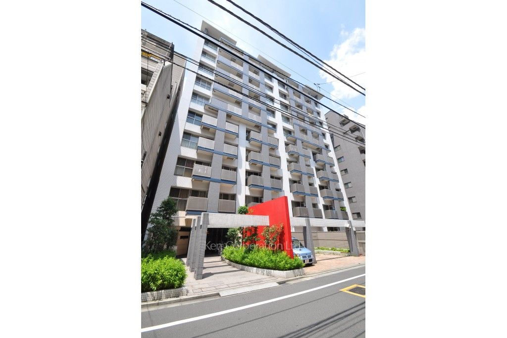  外観ひき