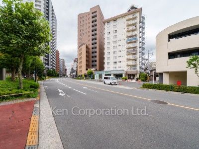 マンション仙台坂カトレアの写真 前面道路