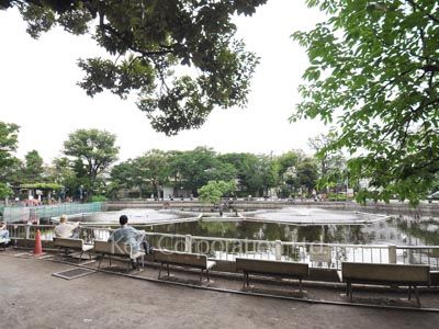  清水池公園