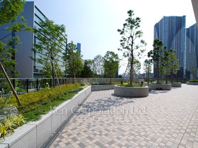 ベイシティ晴海スカイリンクタワーの写真 中庭・植栽