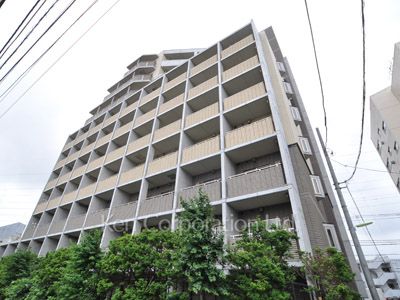  外観ひき