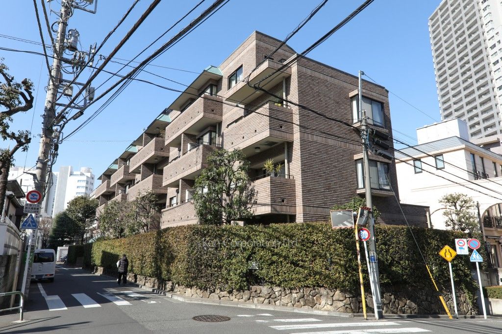 外観ひき