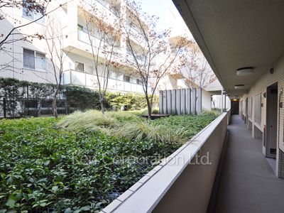 ピアースコード目黒洗足の写真 植栽
