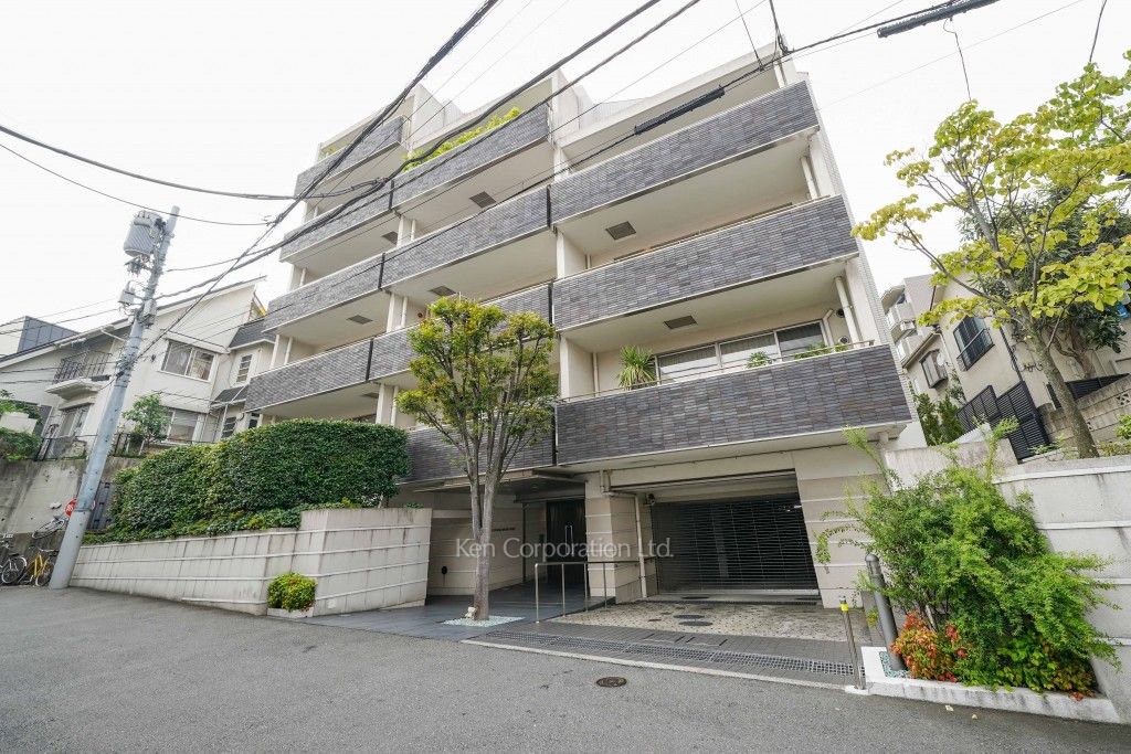  外観ひき