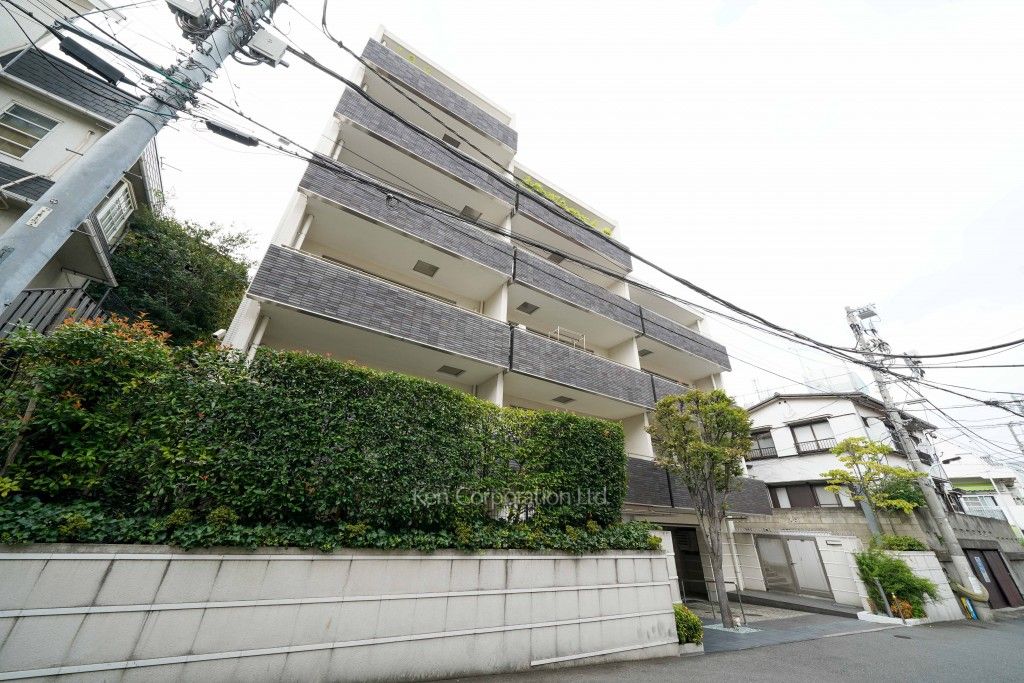  外観ひき