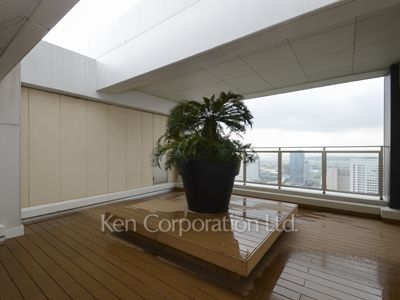  中庭・植栽