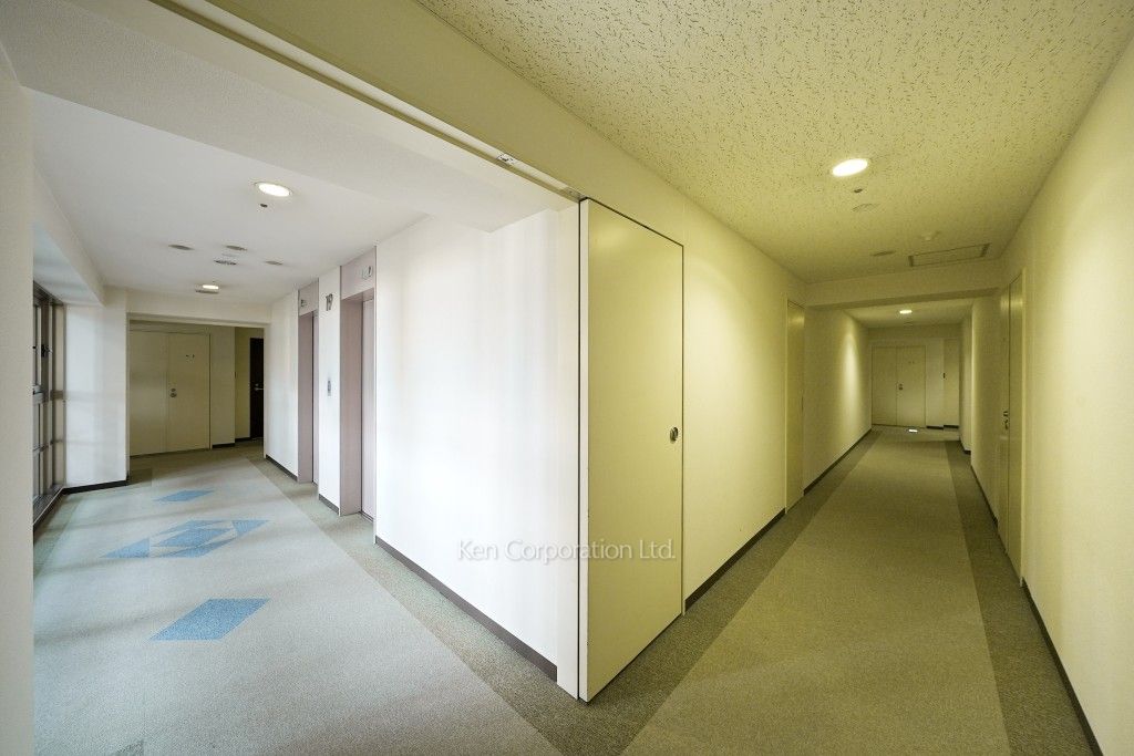 アイタウン・レピアの写真 共用廊下